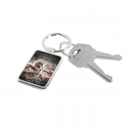 Custom Rectangle Metal Keychain Combinig With Keys